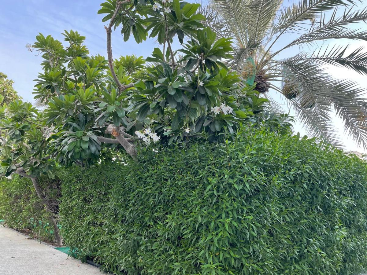 Al Corniche Hotel Sardzsa Kültér fotó